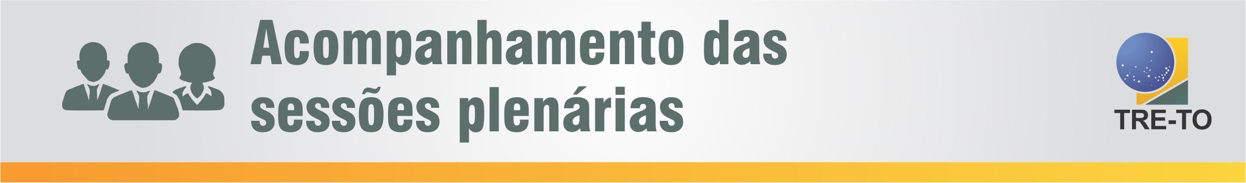Acompanhamento das Sessoes Plenarias