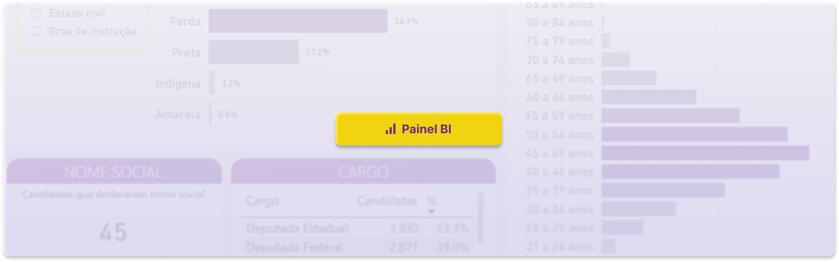 Acessar o painel de estatísticas TSE Mulheres (abre em nova aba)